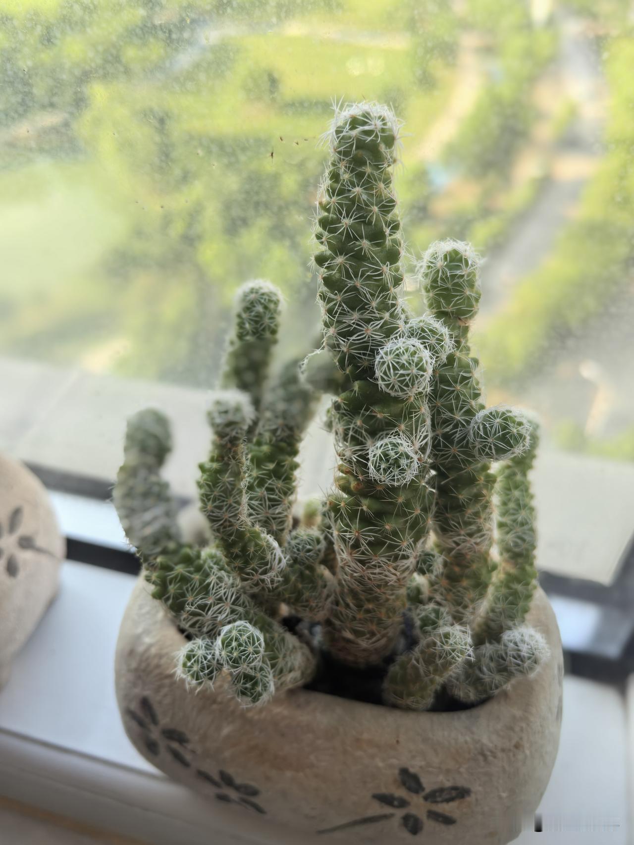 同房间病友的儿子是健身教练，一身健子肉，阳光，帅气。说儿媳妇也开了健身工作室，也