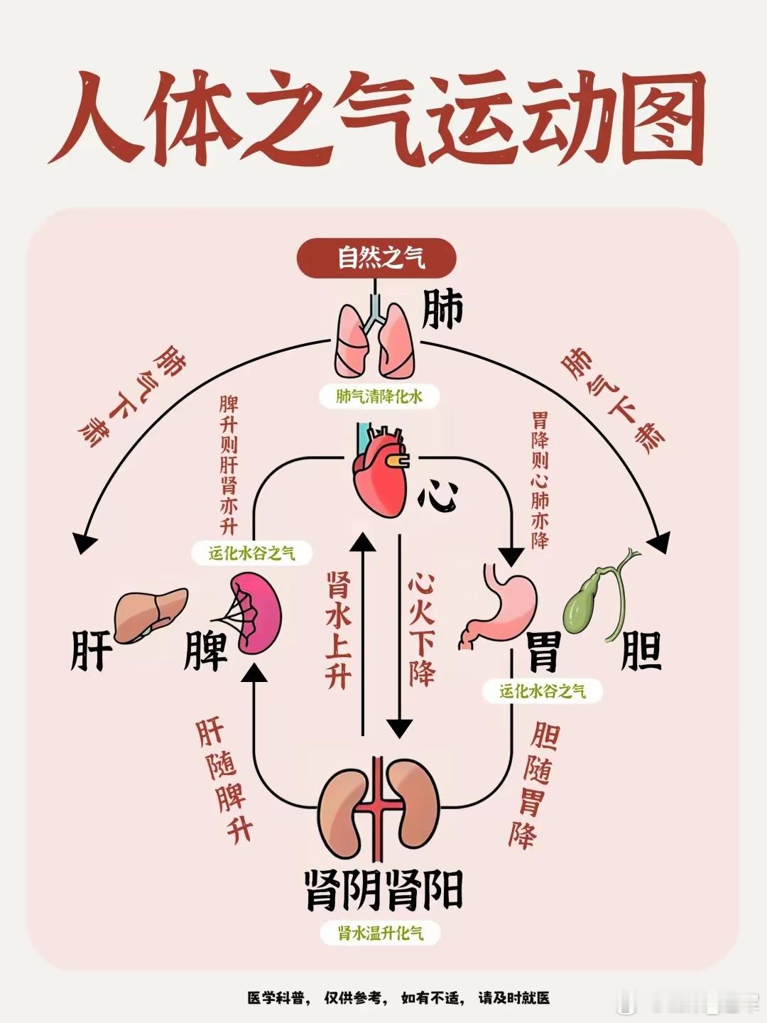 黄元御一句话：“脾土左旋，温升而生肝木；肝木左升，化生心火；心火右降，化生肺金；
