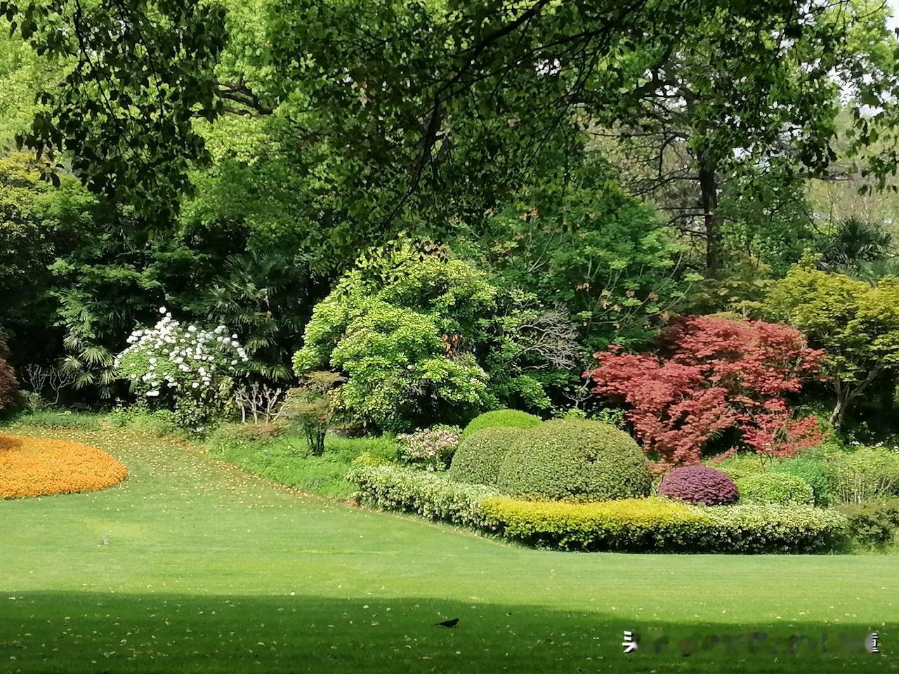 过去，我曾难以接纳自己。因为不被重视、没能进入理想的公司、找不到喜欢的工作，我陷
