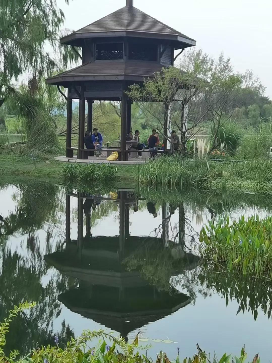 秋的倒影
植物和建筑倒映在水中，如一面镜子，清晰可见，徐徐荡漾，不禁感叹大自然的