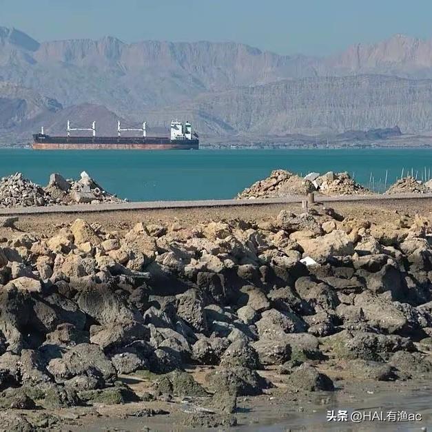 英国海军核动力潜艇抵达阿拉伯海，中东战争升级可能性大增

英国核潜艇的抵达标志着