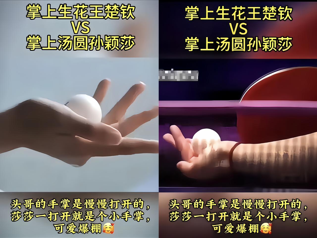 每次看头哥和莎莎发球，
我的眼神就不自觉往他们手上瞟。

头哥那手啊，
是一根一