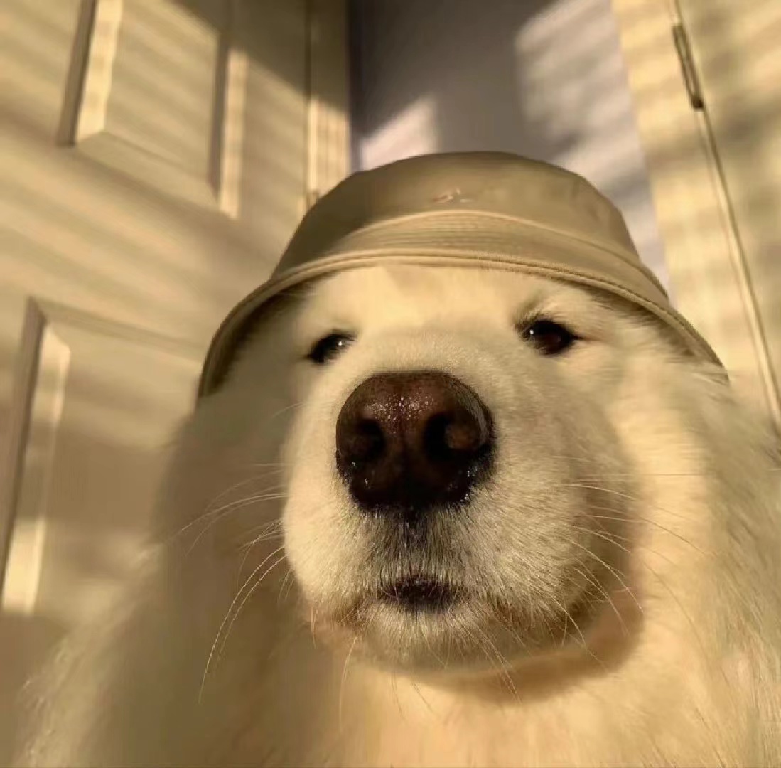 #找不到工作的半年里看了100多部电影#我们在看这么多电影的时候，也是得到了很多