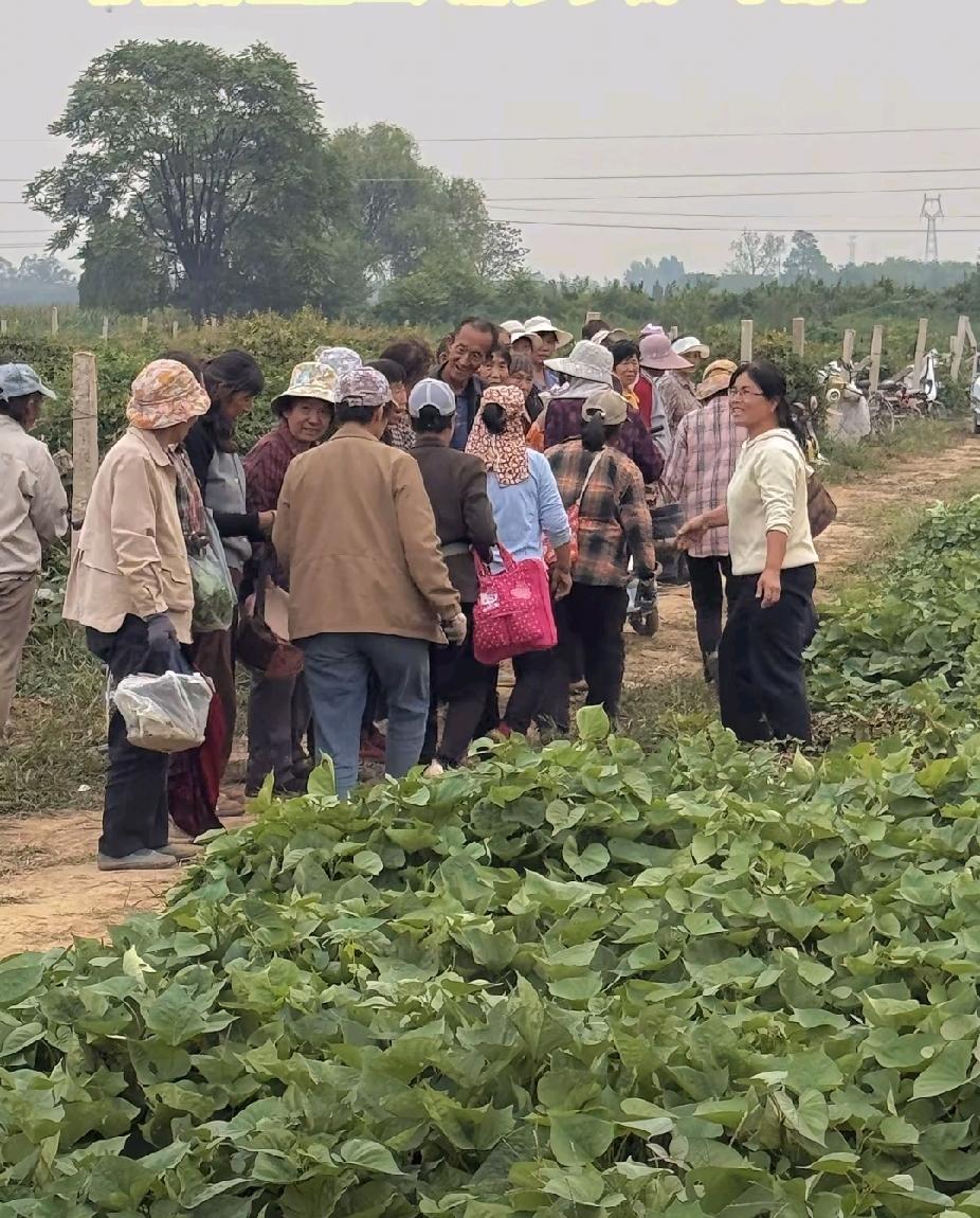 在中国，
想挣1000万
其实就三条路
伺候100个有钱人
服务1000个中产
