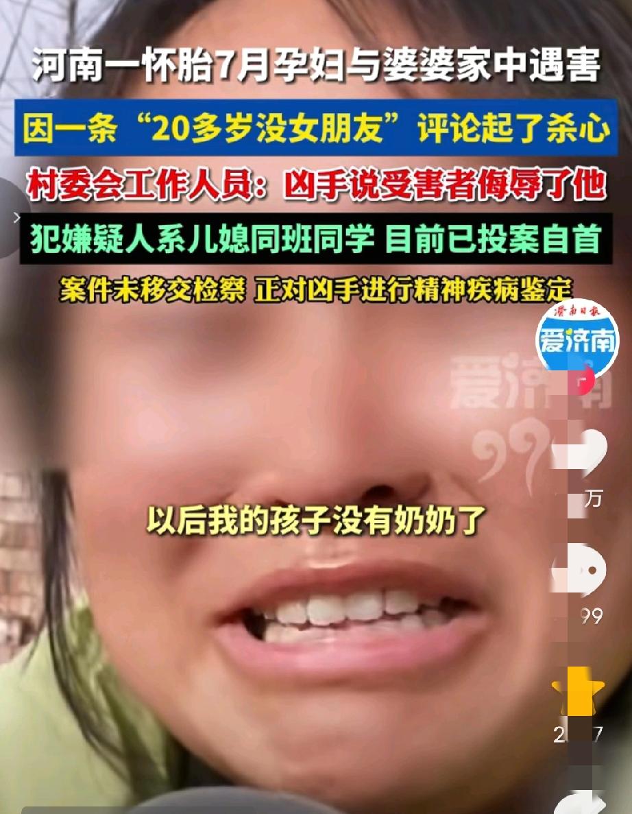 一条评论引发的血案：怀胎七月孕妇与婆婆惨死家中！这不是恐怖电影，这是2025年1