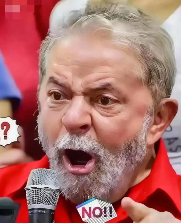 巴西这一刀砍得真狠啊！
2026年4月6日，巴西外贸委员会一纸决定传遍全球。针对