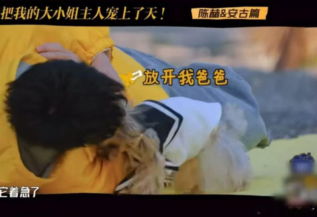 陈赫到底有多重哈哈哈哈哈四人合力都抬不动陈赫，离谱名场面爆笑出圈，好好的紧张剧情