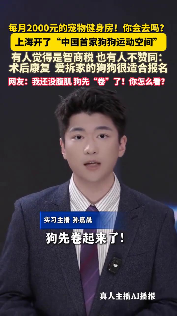 每月2000元的宠物健身房你会去吗？上海开了"中国首家狗狗运动空间"，有人觉得是