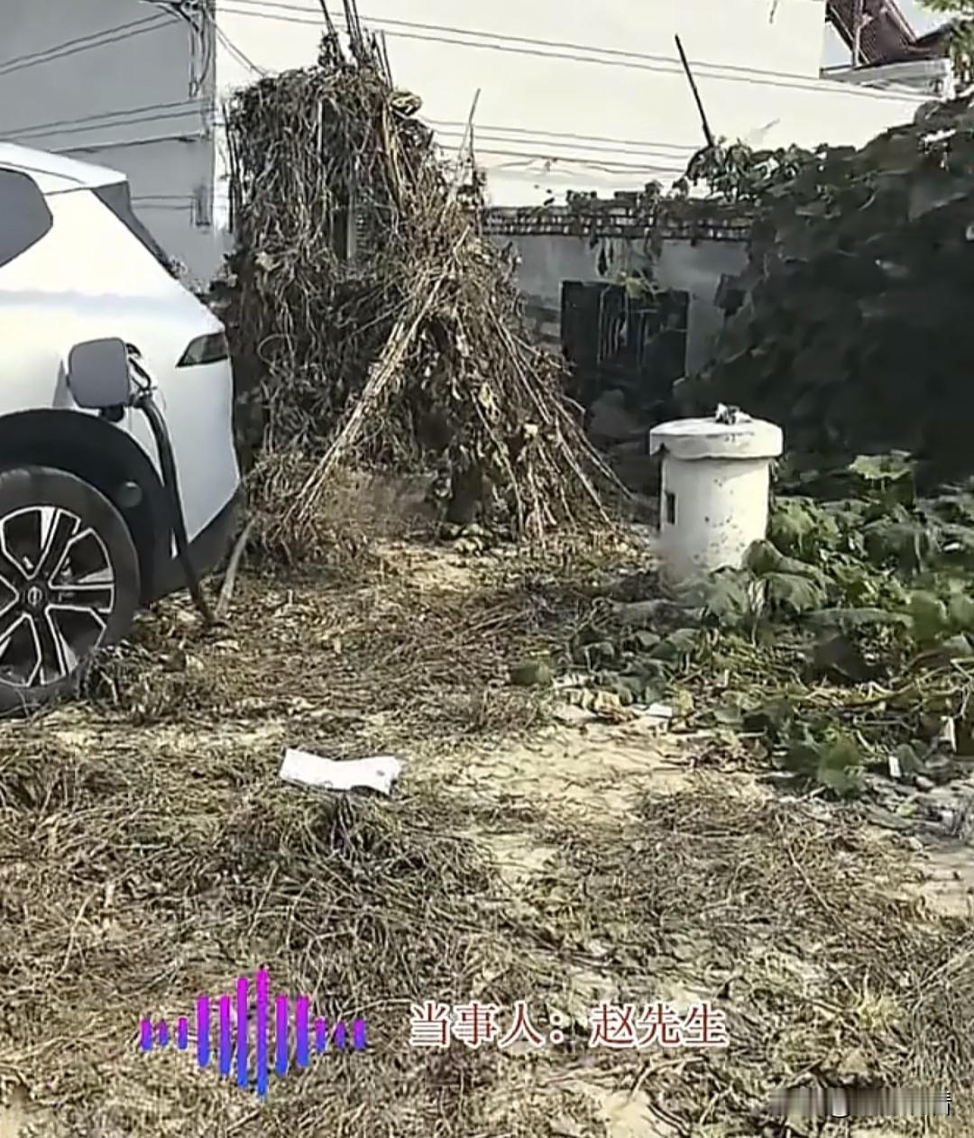 近日事发河北保定，车主错过高速服务区电量告急，导航挖到个全身裹满杂草的充电桩，活