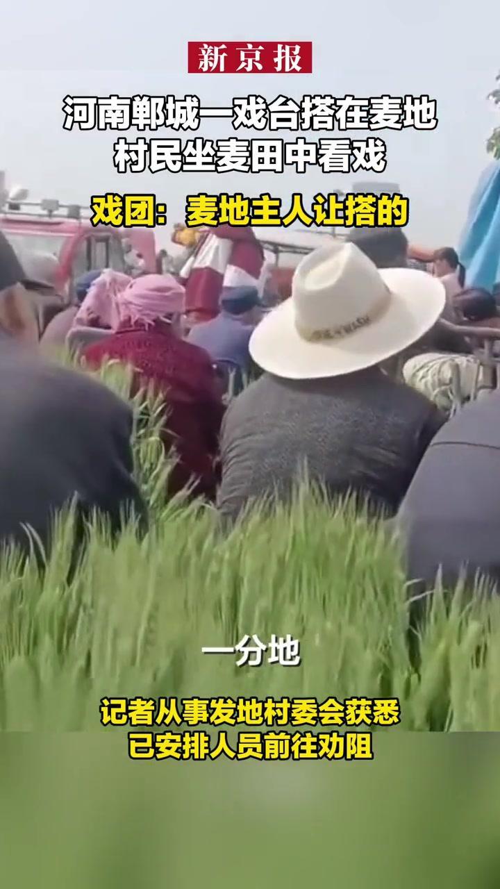 麦田搭台唱戏，乡土情怀不能踩坏粮食底线
 
4月24日，河南郸城一处麦地中，有人