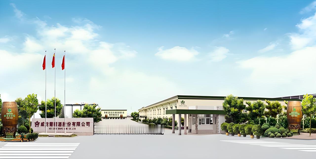 王珍海，烟台龙口人，他是山东烟台的葡萄酒大王，一手打造威龙股份，2016 年成功