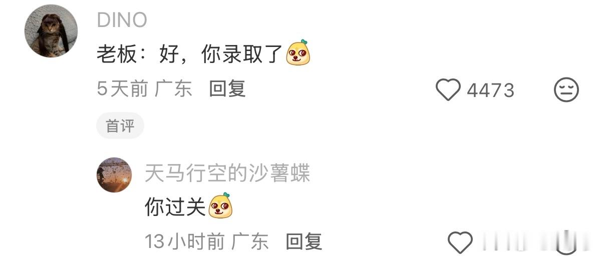 我的装傻能力be like： 