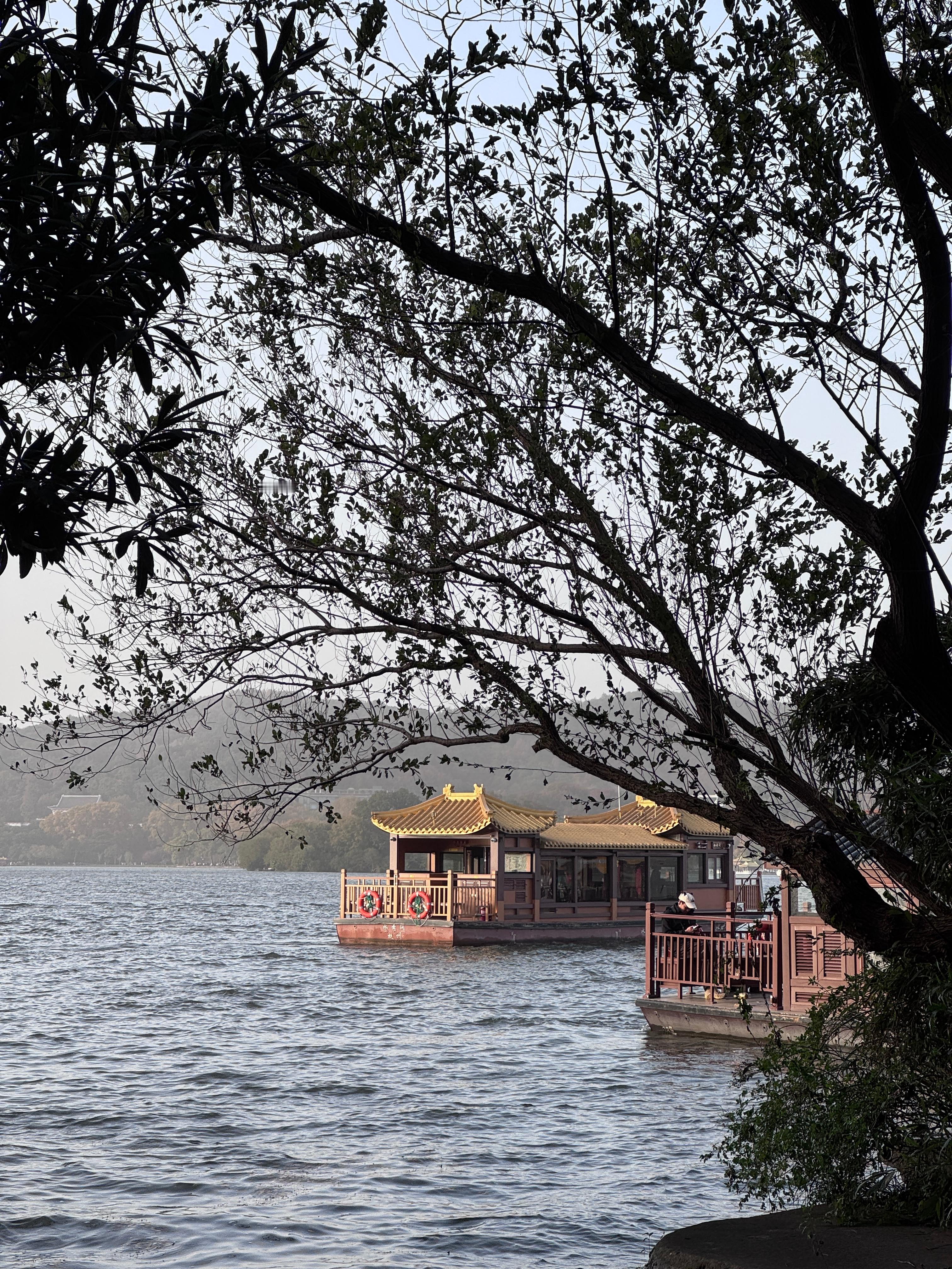 今天被西湖的风吹傻了🌬️独加记一 杭州·西湖风景名胜区