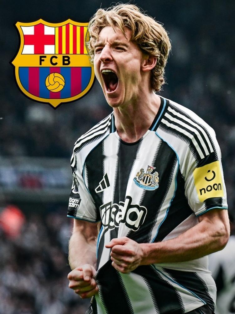巴萨转会 安东尼戈登足球转会窗 ⚽️ 转会新动态！巴萨正式开启安东尼·戈登转会谈
