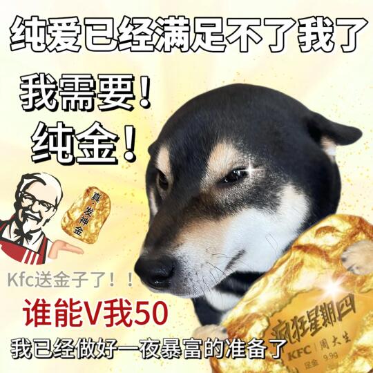 表情包|疯四情 如金坚🫰🏻