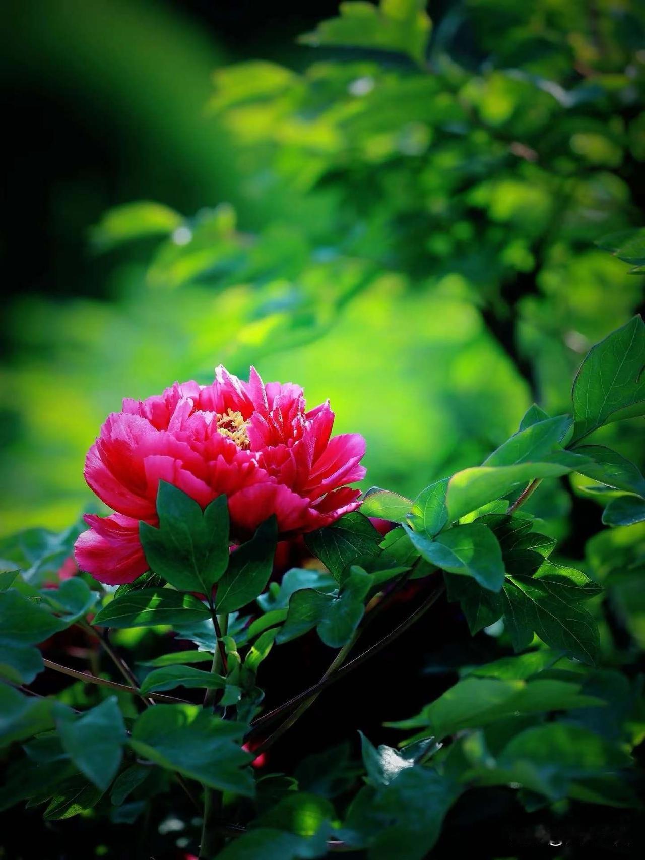 【小对联】
上：……？
下：投资人。