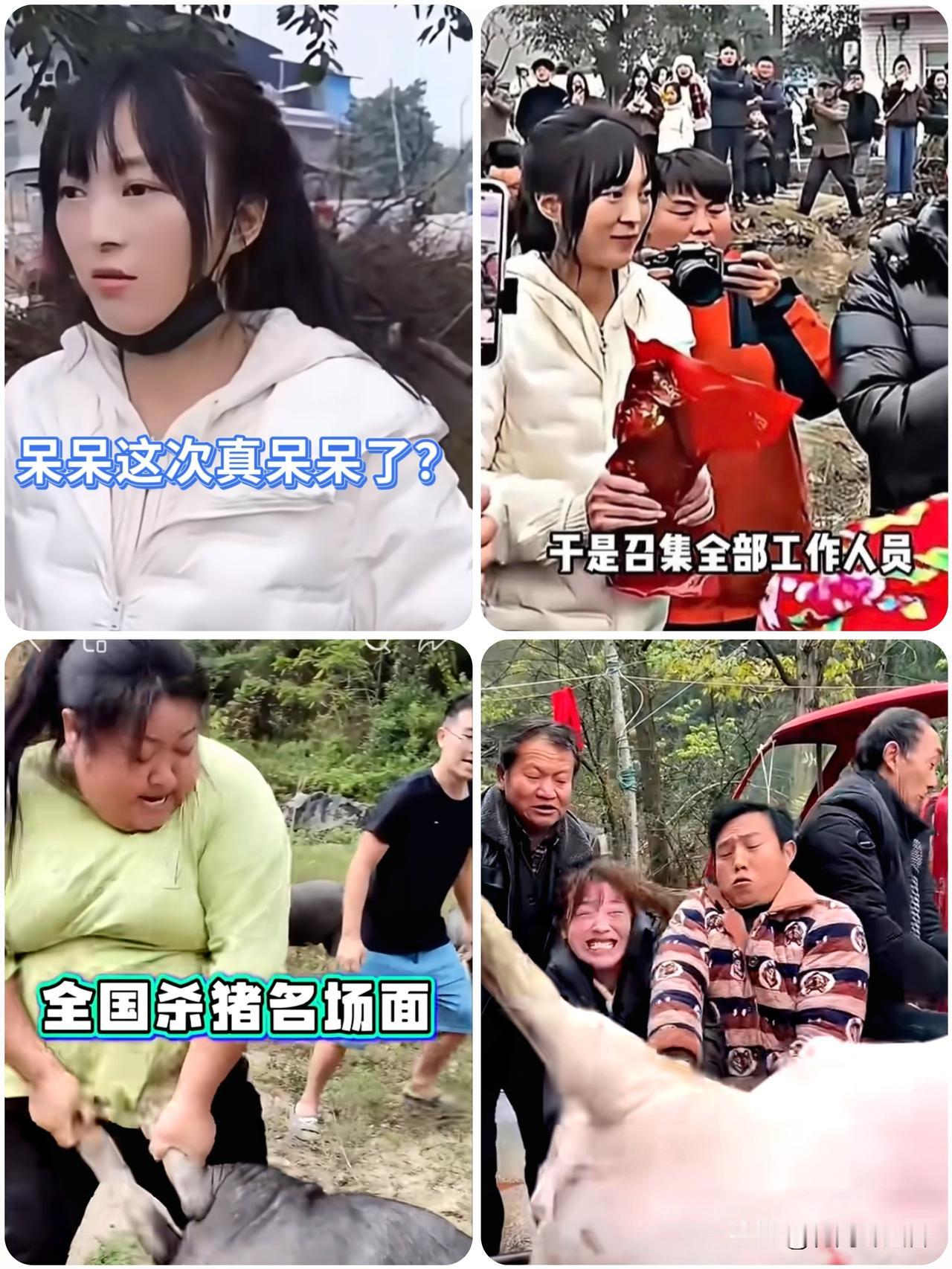 呆呆惹的祸？
重庆文旅接住流量
带火产业，国际友人都夸绝了…
 
家人们可太逗了