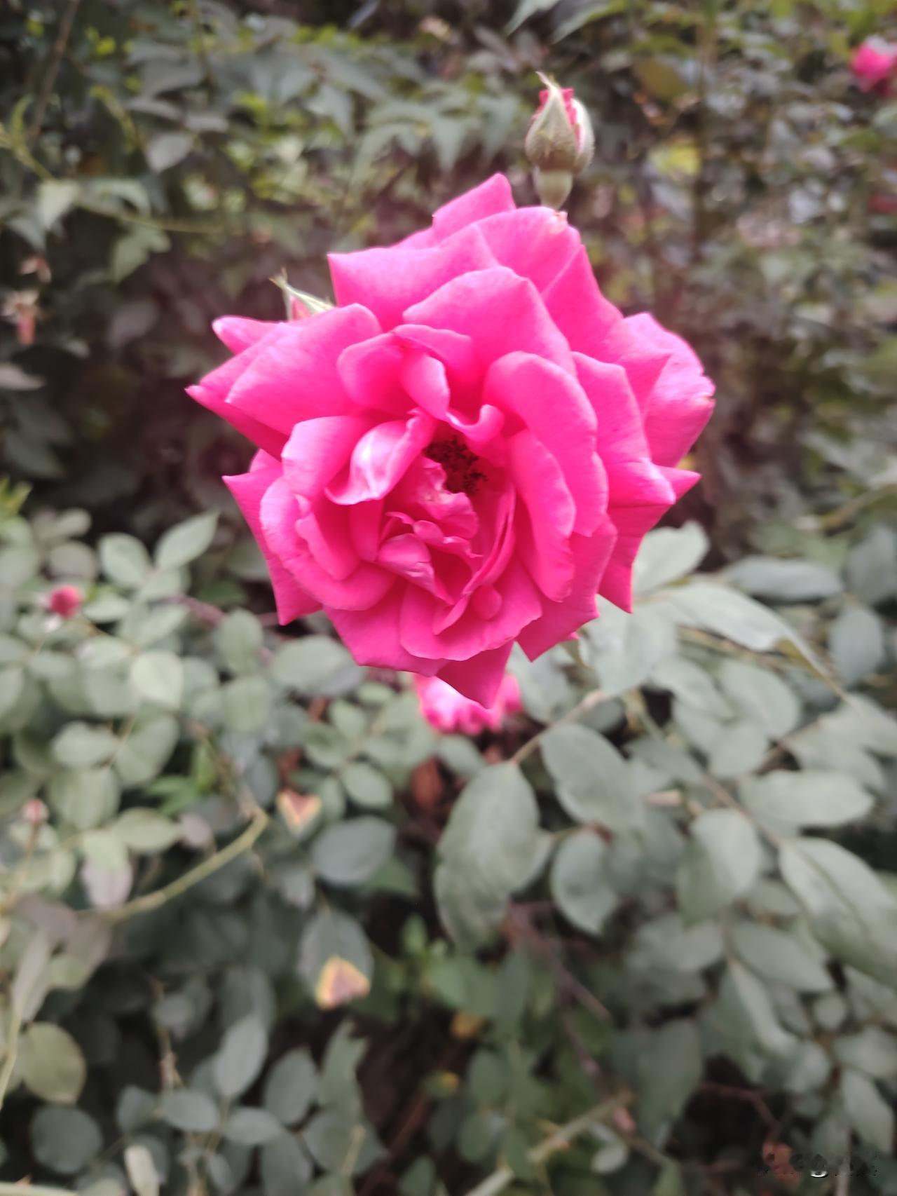 你觉得高考真的是唯一的出路吗高考算不上人生唯一出路，但绝对是普通家庭孩子最公平、