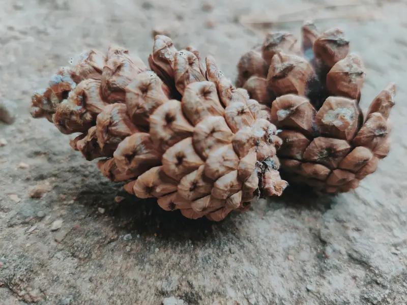 世间万物相生相克，这就像一场永不落幕的“大乱斗”。就拿自然界来说，草原上兔子繁殖