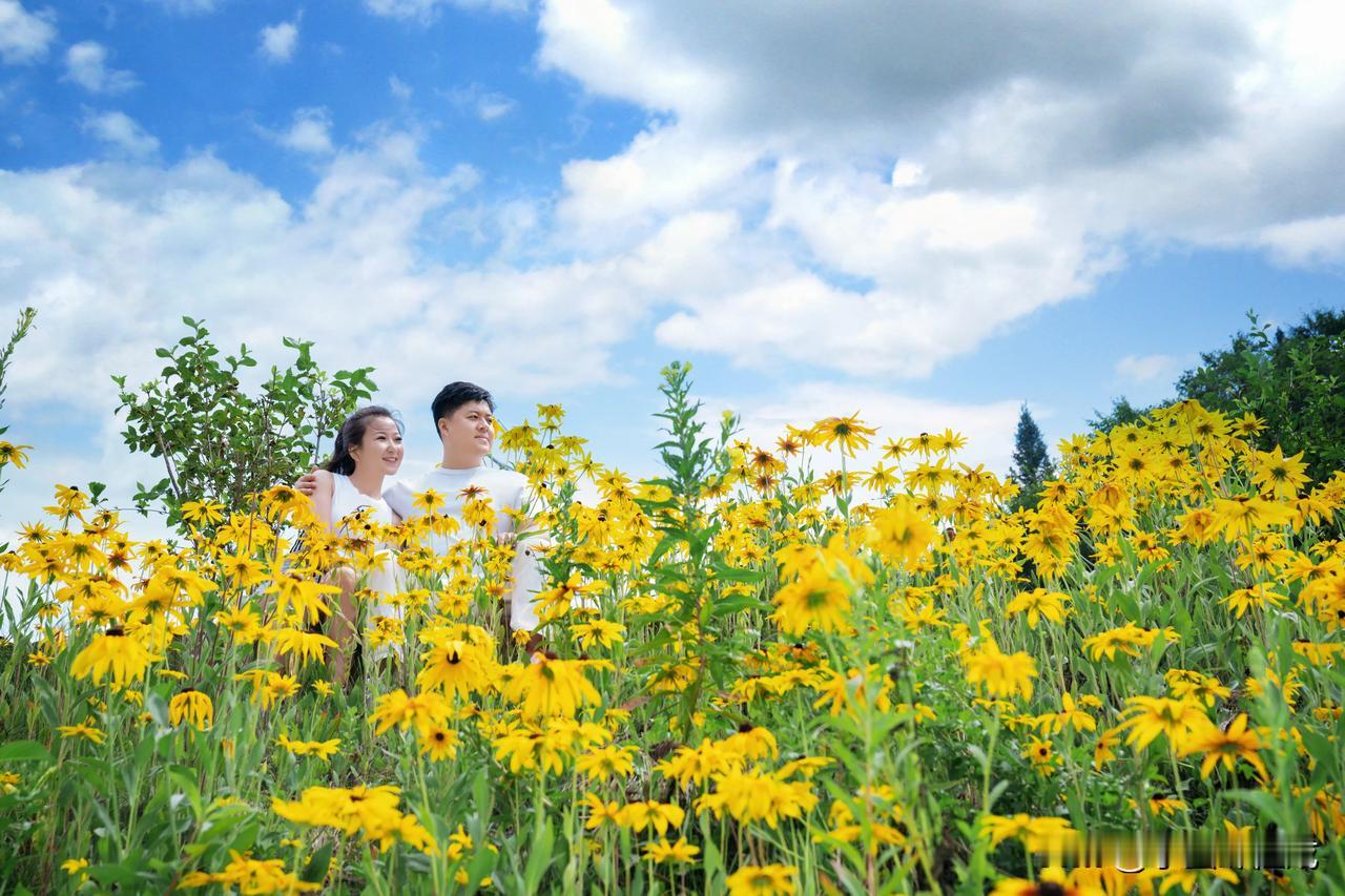 中秋佳节至，星河共辉映，阖家团圆。
小蜜蜂程成在这里祝愿我的朋友们心间充满明媚之