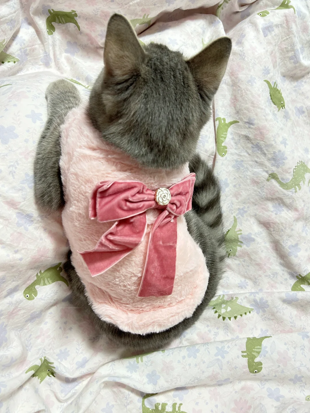 lala有新衣服了👏