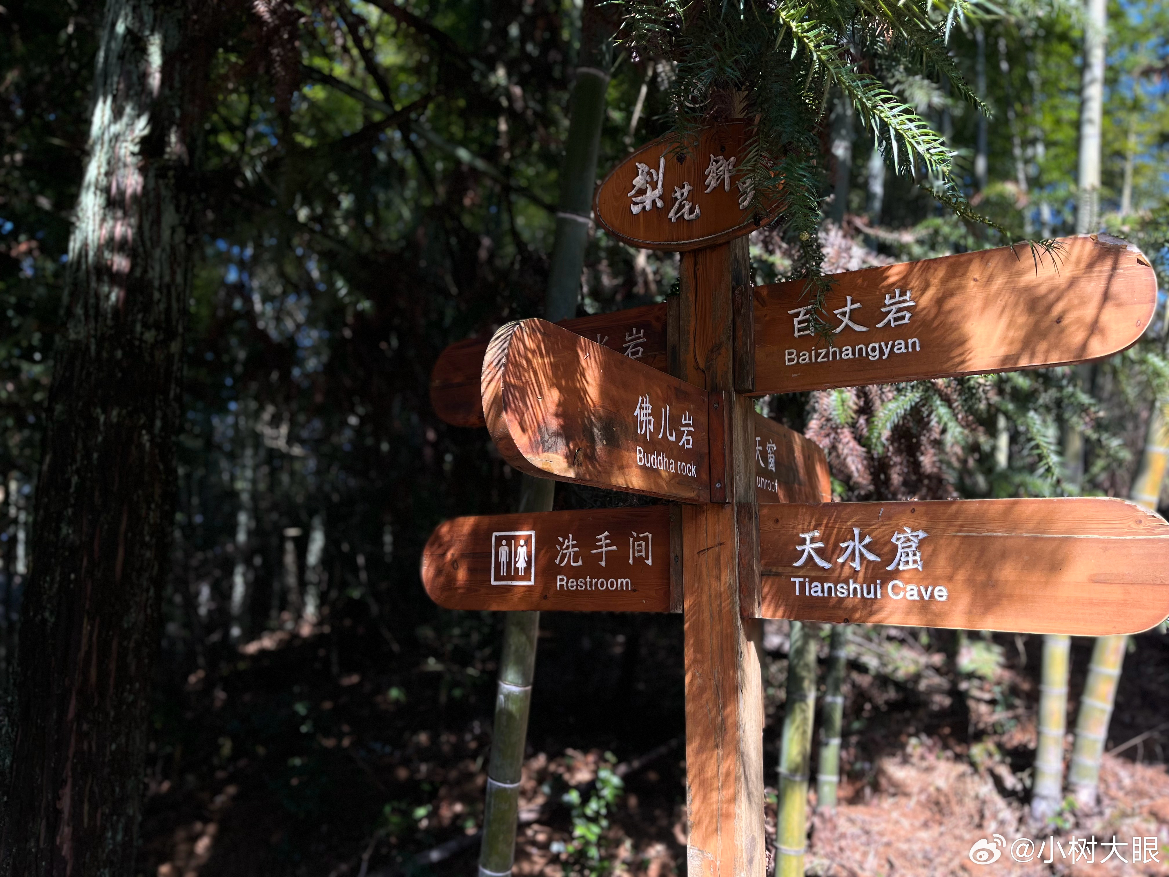 转角的选择题爬山
