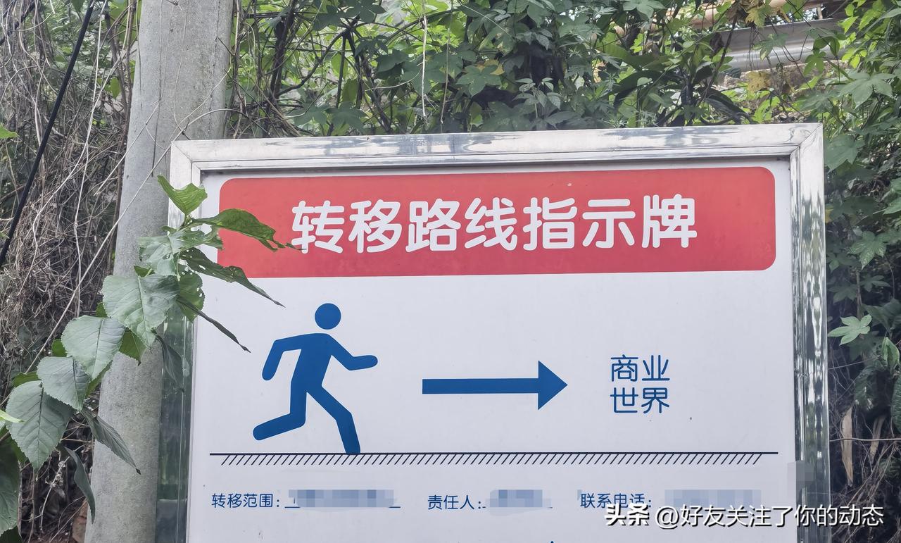 这个信息，是不是水利部门或农业局部门设置的，用于指引应急疏散的标牌呢？