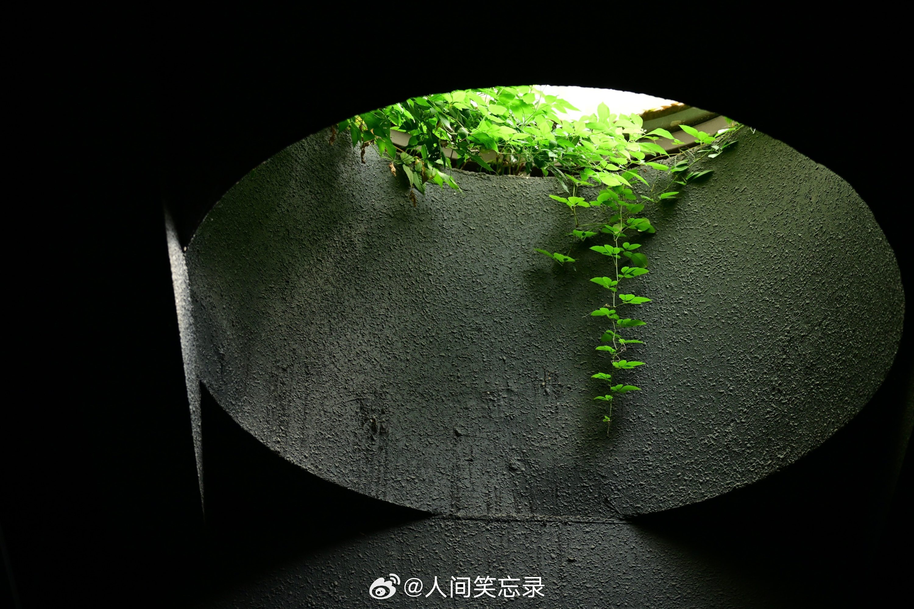 魏晋乱世，过去儒家追求功业、道德的价值体系开始崩塌，道家、玄学“超然物外”的唯美