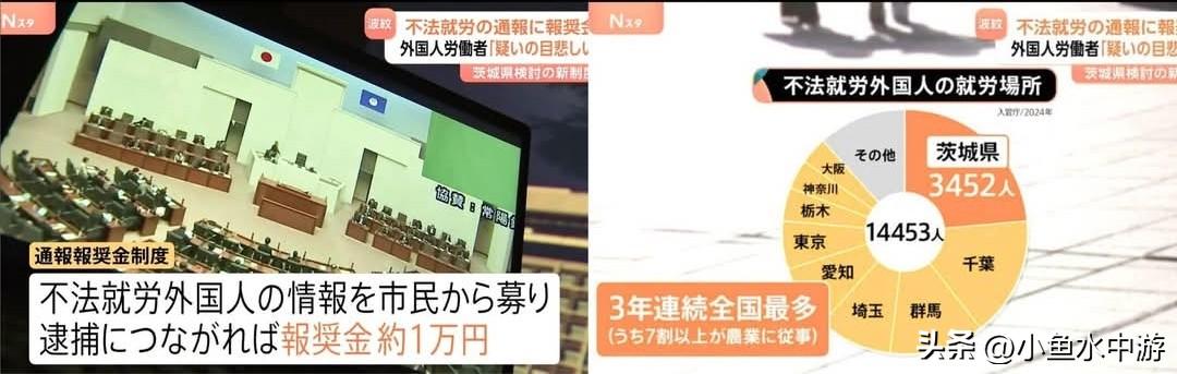 日本茨城县拟推行举报奖金制度，针对非法就业外国人~奖金1万日元！
 
茨城县针对