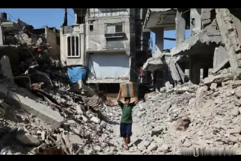 不是应该问巴勒斯坦的未来在哪里吗[捂脸]