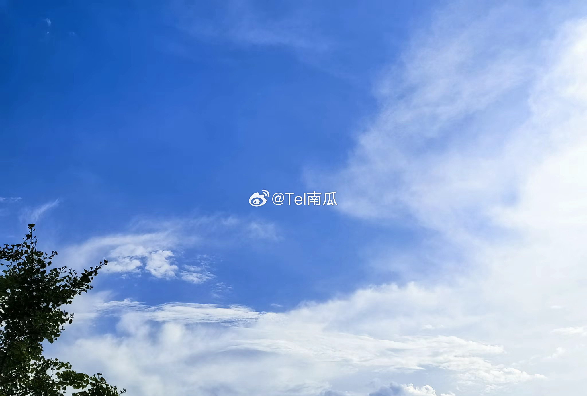 懒虫不懒   幸福是千姿百态的日常光景，本无千篇一律的标准答案快乐是各有蹊径的前