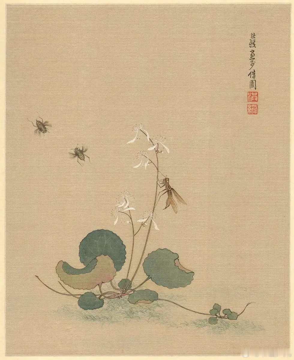 明 陈洪绶 花鸟草虫册页。陈洪绶（1599—1652）字章侯，幼名莲子，一名胥岸