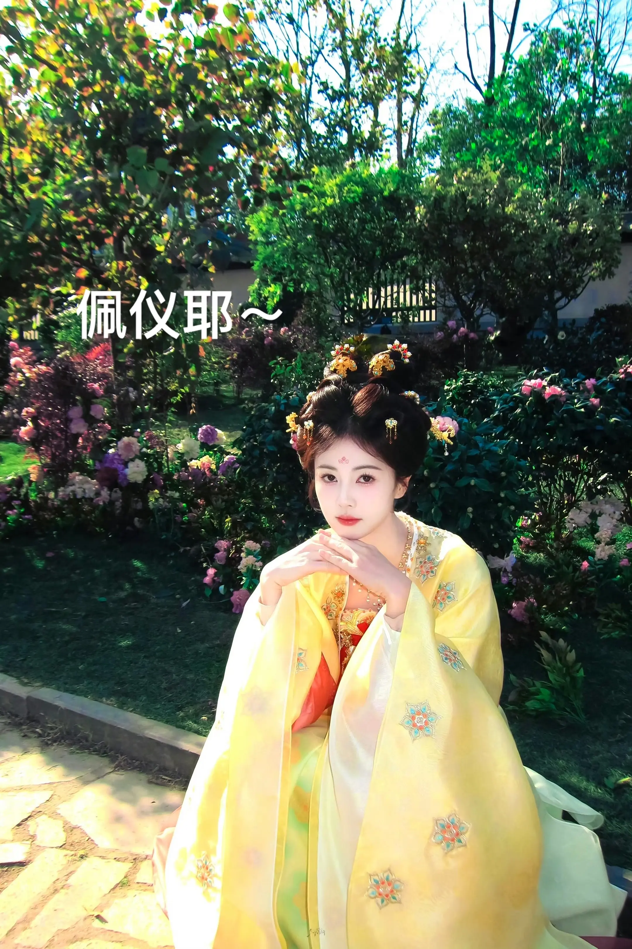 佩仪耶