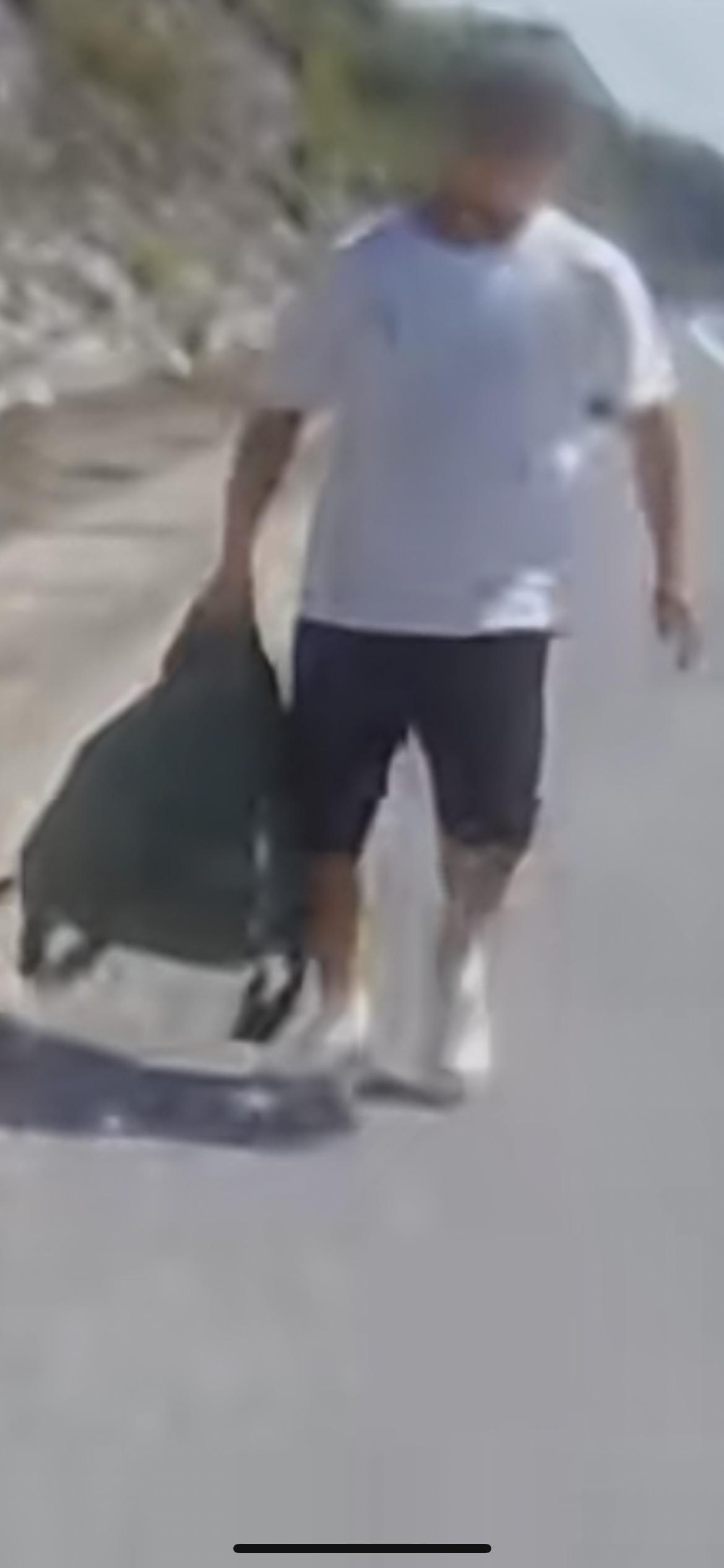 近日湖南，男子高速应急车道突然停车 ，抛下孕妻，提着一个袋子车流间隙中横穿马路，