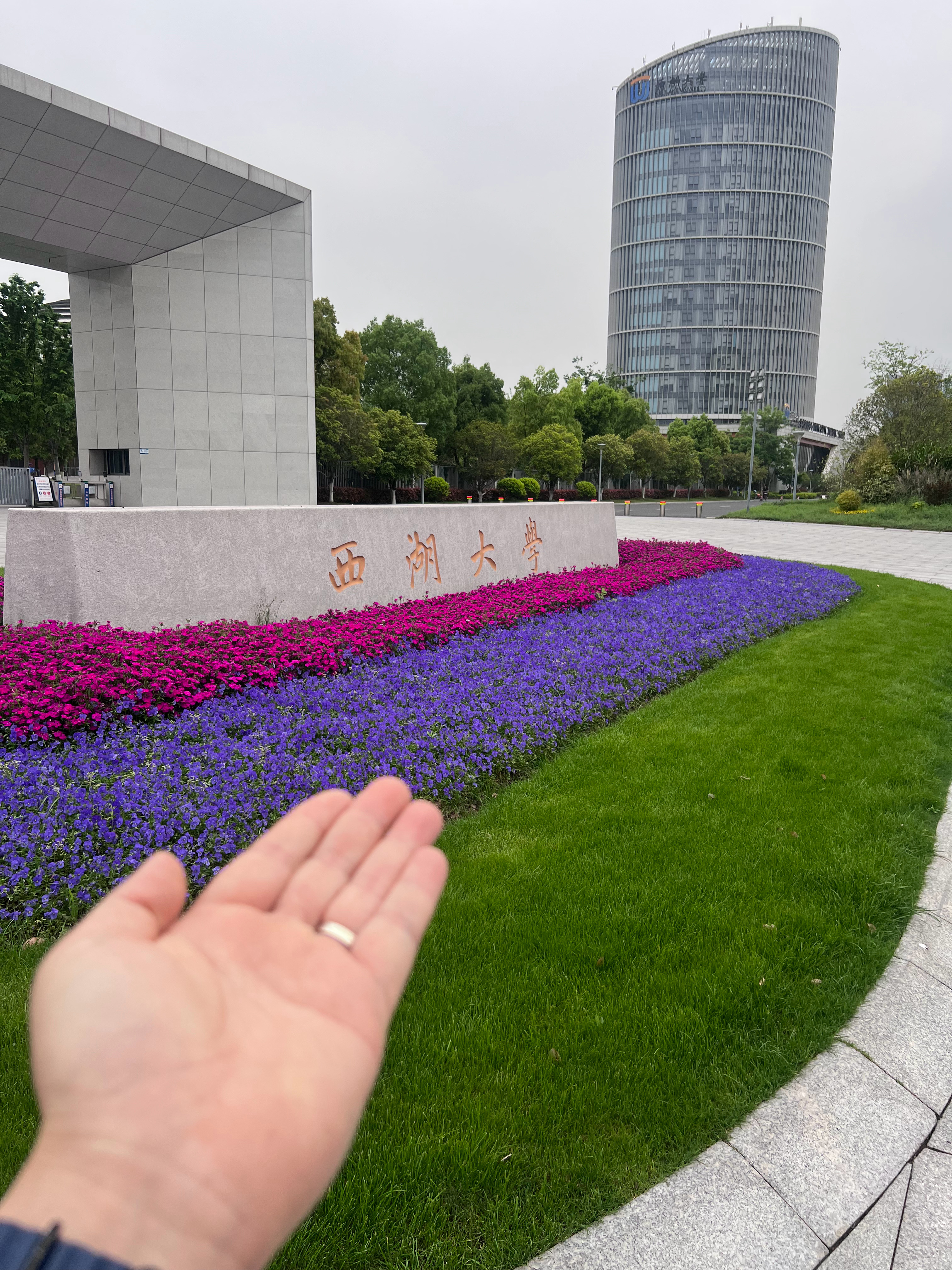 西湖大学和宁波东方理工大学10年内超过80%的 985大学，20年超过剑桥大学！