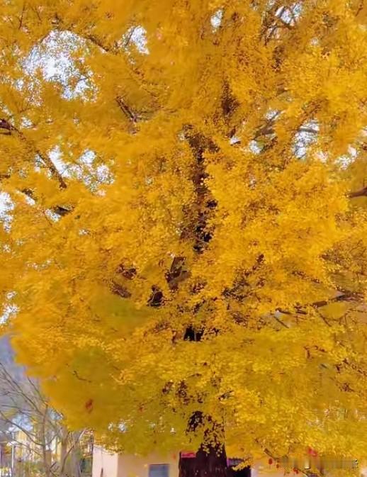 2026最想实现的一件事做想做的事，看想看的风景