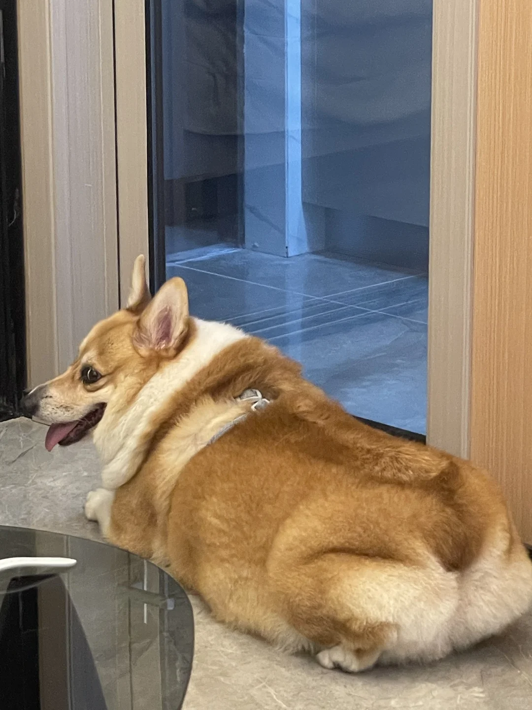 真的不是肥肉！都是肌肉！