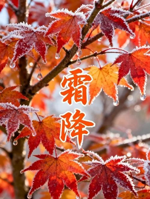 雪落梅花艳下联是什么霜降枫叶鲜