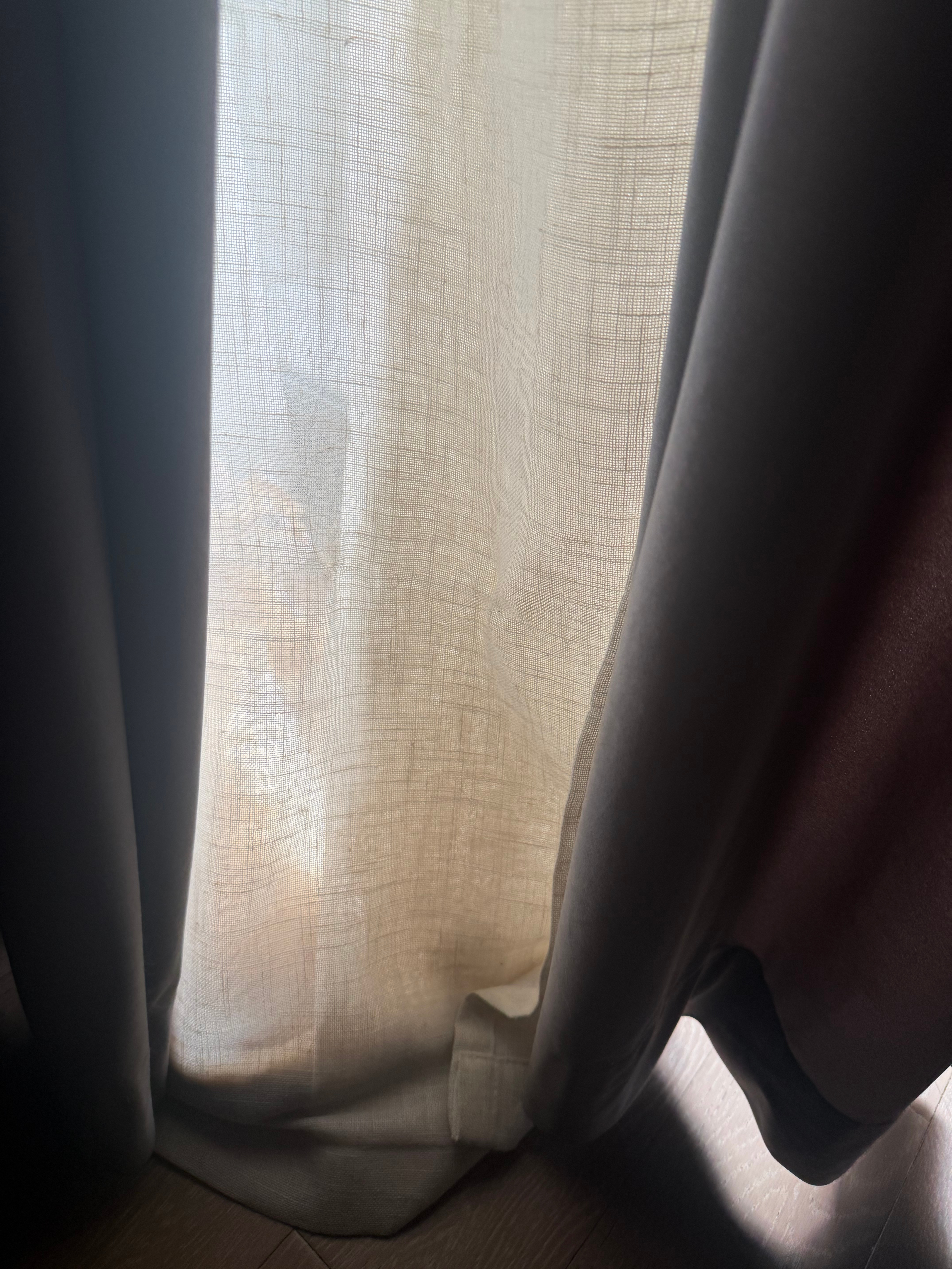 今早一觉睡醒发现咪不在窝里跑在窗帘后面装忧郁