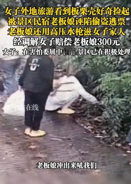 游客称捡板栗壳被民宿老板娘诬陷偷盗，首先，说明这个民宿老板娘不局气，没有格局，别