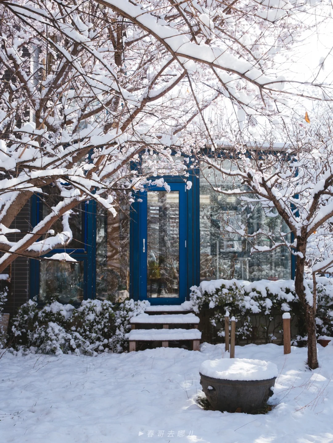 山桃映雪，庭院春深