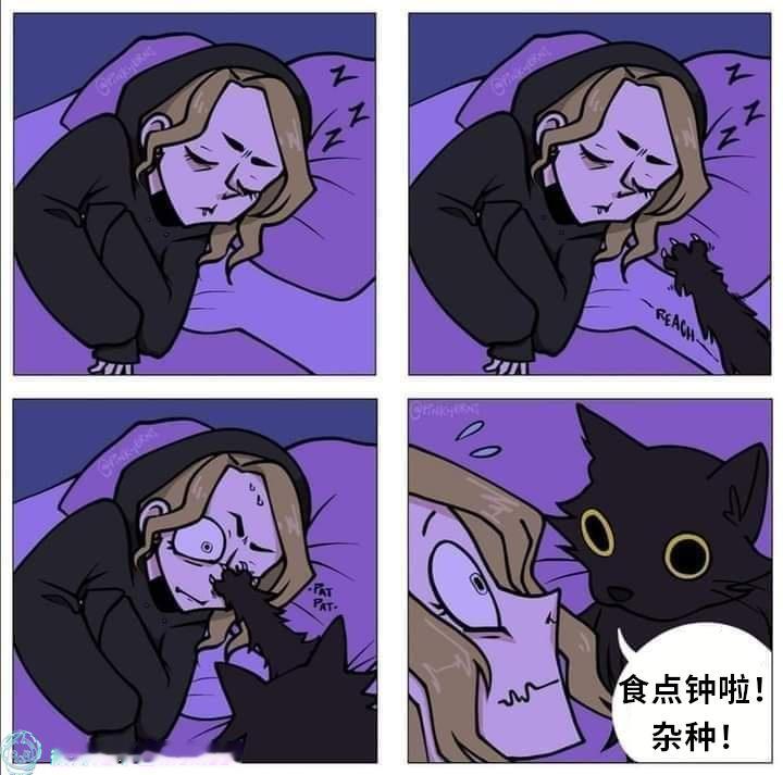 马上马上（9gag）今日meme[超话] 今日memes ​​​
