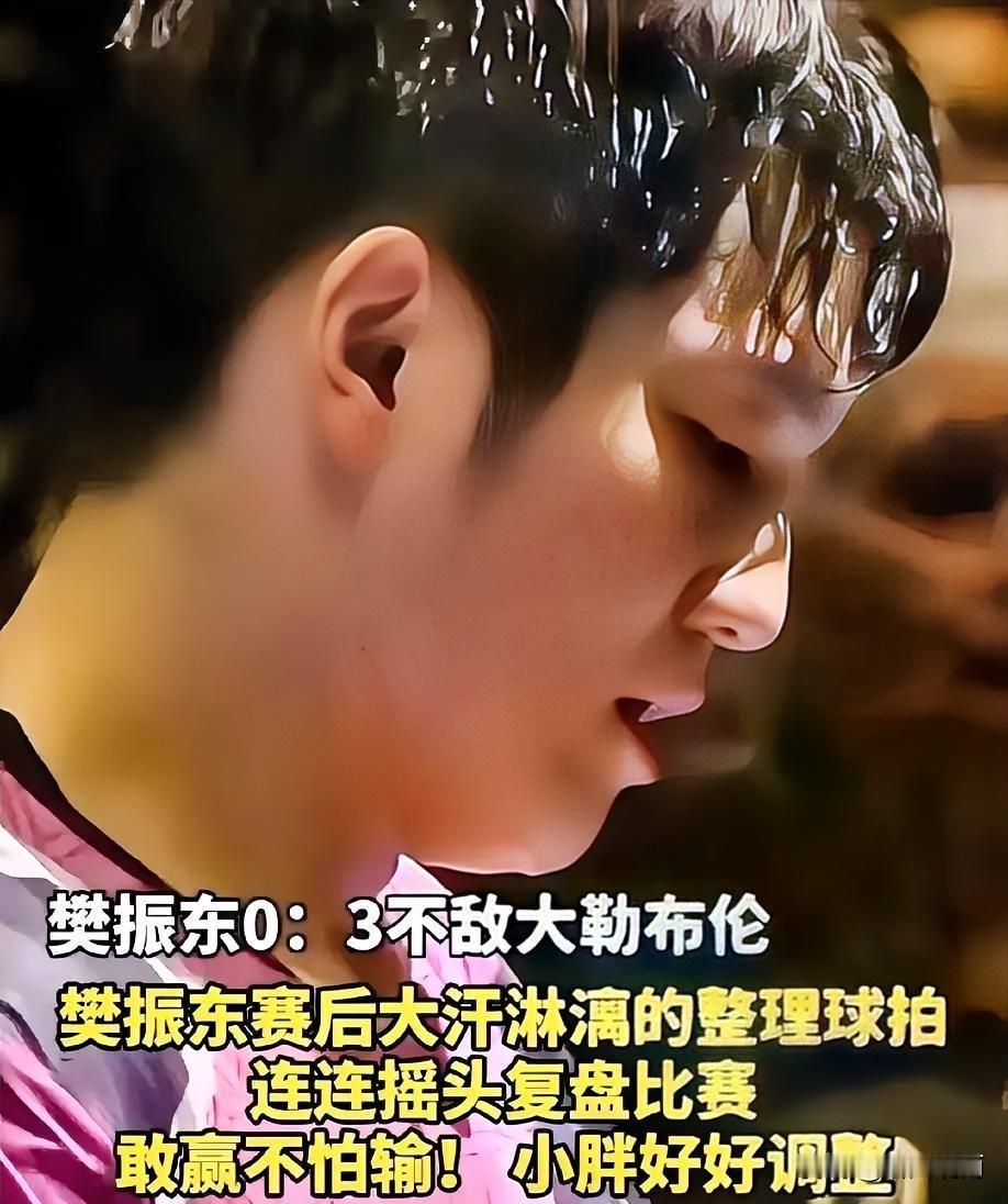 樊振东啊，樊振东，你千不该，万不该在平台转播的时候输比赛，表面上看，只是输了两盘
