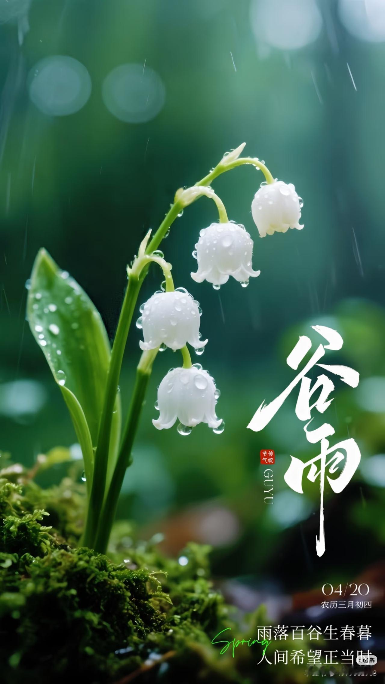 雨落百谷生春事
人间兴旺正当时