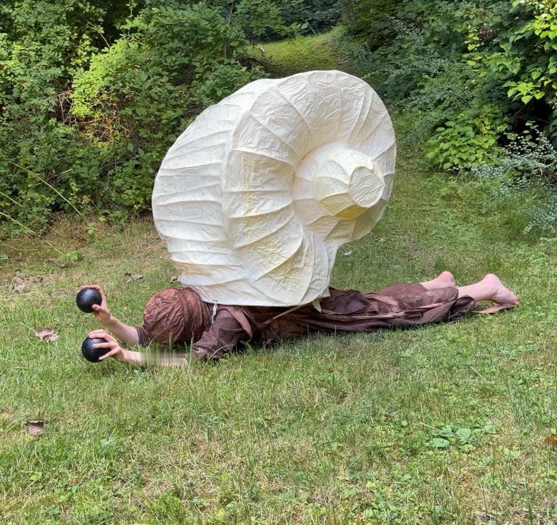 🐌 