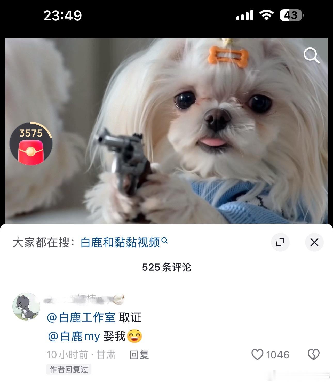 娶我 