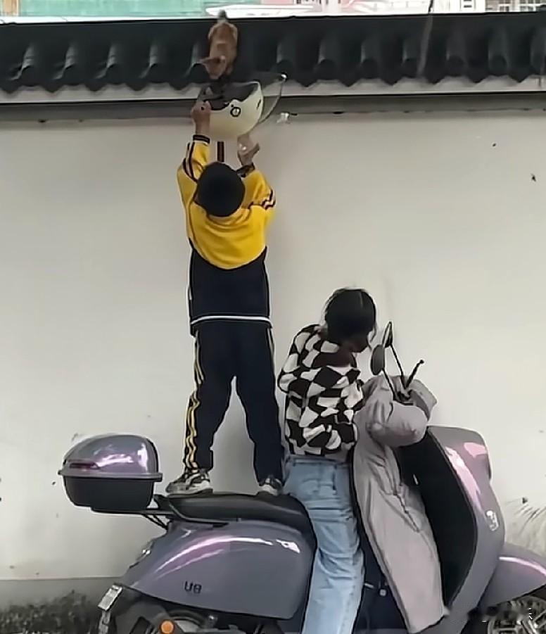 近日，广东韶关，一只小猫被困在高墙上，小朋友站在妈妈骑的电动车的后座上，反举起头