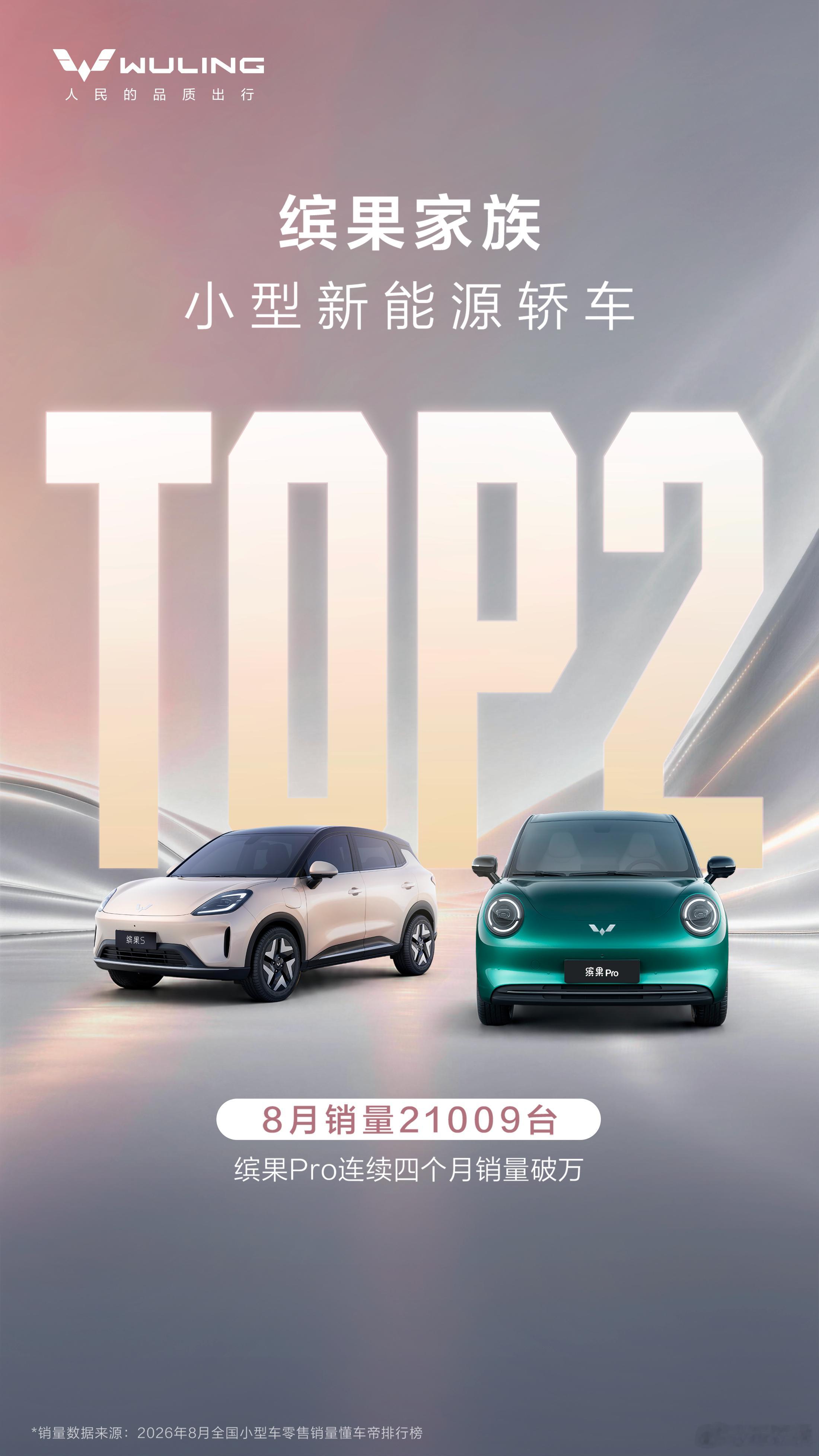 实力领衔，战绩亮眼🔥缤果家族荣登8月小型新能源轿车销量TOP2！缤果Pro 缤
