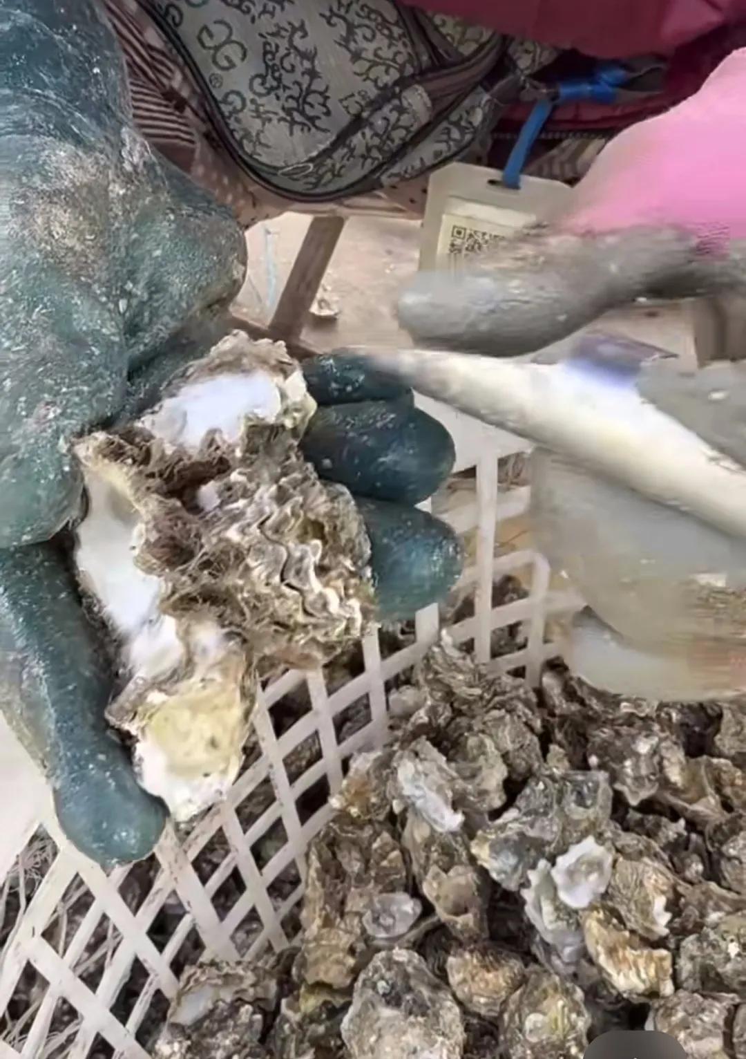 ​好像是14年左右，我们去仙人岛码头买海鲜，等渔船靠岸。船靠岸了，渔夫说50一筐