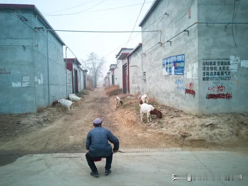 如今，农村大龄未婚青年日益增多，几乎每个村子里三十岁以上的未婚男性都有十几个，甚